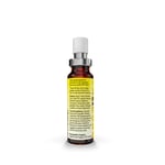 BACHBLÜTEN Rescura Night Spray alkoholfrei