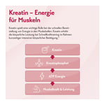 PURESGP Kreatin Pulver Produktbild 7