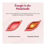PURESGP Kreatin Pulver Produktbild 8