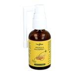 HEYBEE Propolis Halsspray+