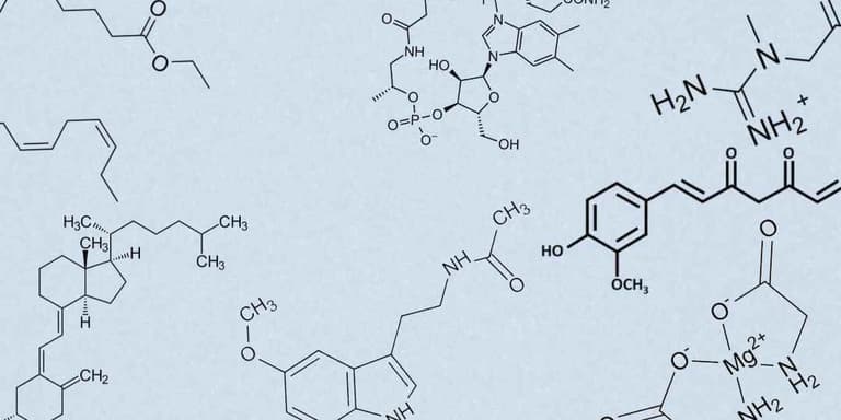 Healthii Science-Checks: chemische Strukturformeln von Supplements wie Omega-3, Kreatin, Curcumin und Vitamin D