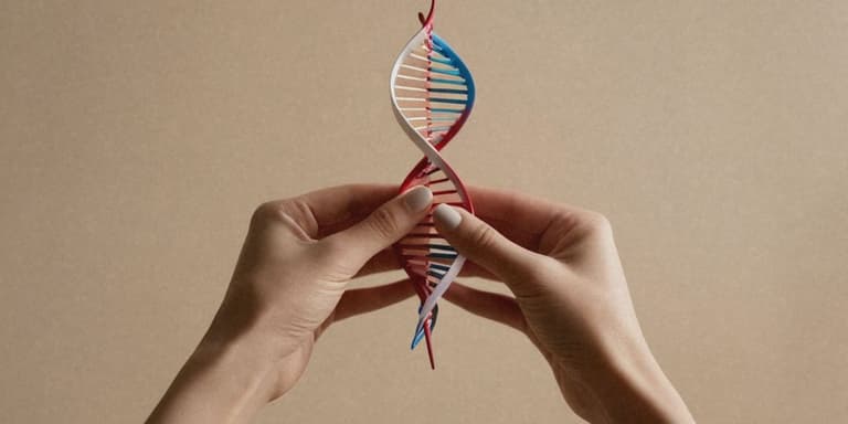 Hände die eine DNA Doppelhelix halten.