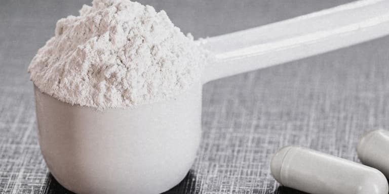 Ein Scoop Kreatin in Pulverform.
