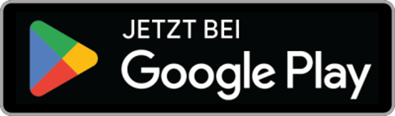 Google Play Store Icon