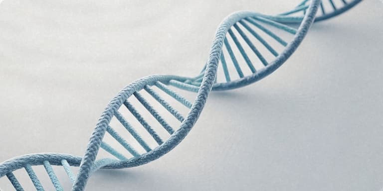 DNA-Doppelhelix in Blautönen vor hellem Hintergrund.