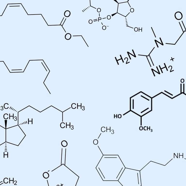 Healthii Science-Checks: chemische Strukturformeln von Supplements wie Omega-3, Kreatin, Curcumin und Vitamin D